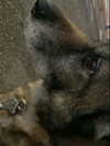 emily_new2 Altpins Profile Picture