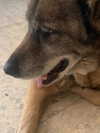 emily_new2 Altpins Profile Picture