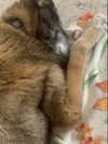 emily_new2 Altpins Profile Picture