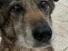 emily_new2 Altpins Profile Picture