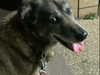 emily_new2 Altpins Profile Picture