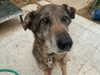 emily_new2 Altpins Profile Picture