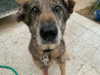 emily_new2 Altpins Profile Picture