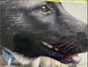 emily_new2 Altpins Profile Picture