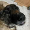 emily_new2 Altpins Profile Picture