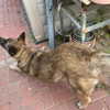 emily_new2 Altpins Profile Picture