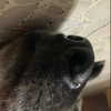 emily_new2 Altpins Profile Picture