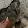 emily_new2 Altpins Profile Picture