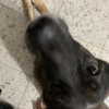 emily_new2 Altpins Profile Picture