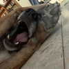 emily_new2 Altpins Profile Picture