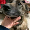 emily_new2 Altpins Profile Picture