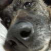 emily_new2 Altpins Profile Picture