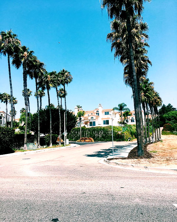 emilypillarella instagram image archive image