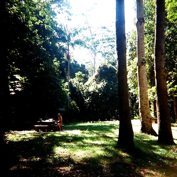 emilyymcwilliam emilyymcwilliam archive image