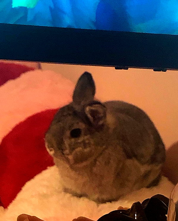 emiru.jpg instagram image archive image