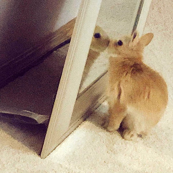 emiru.jpg instagram image archive image