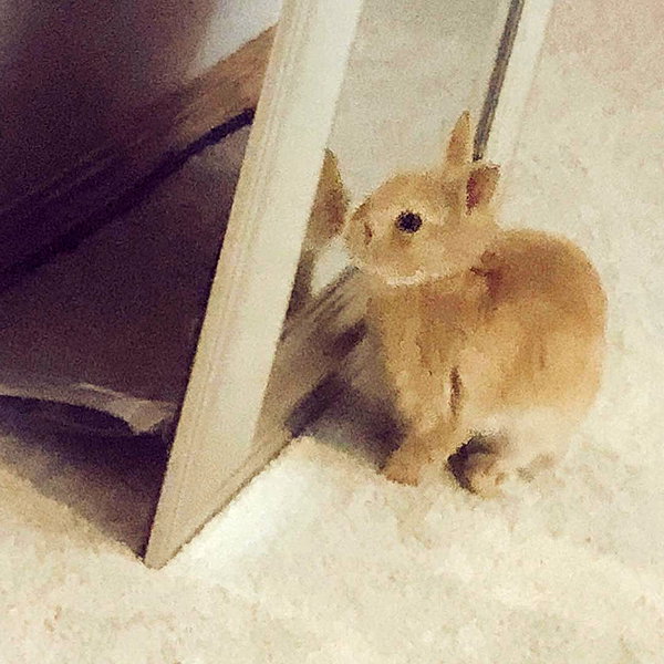 emiru.jpg instagram image archive image