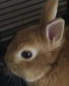 emiru.jpg Altpins Profile Picture