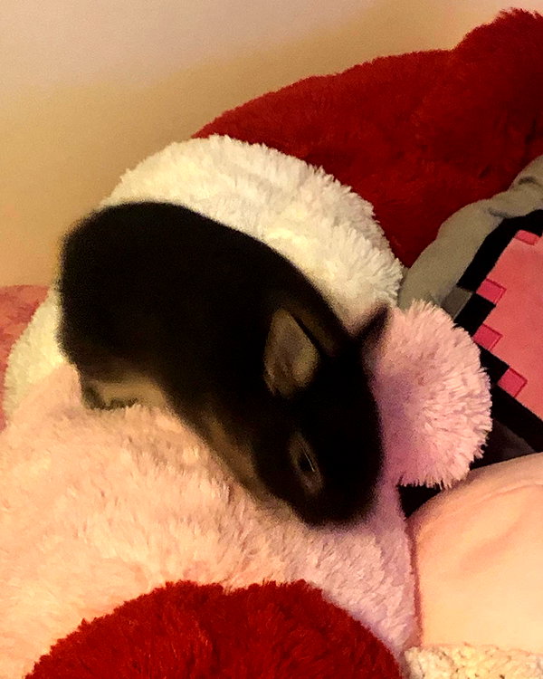 emiru.jpg instagram image archive image