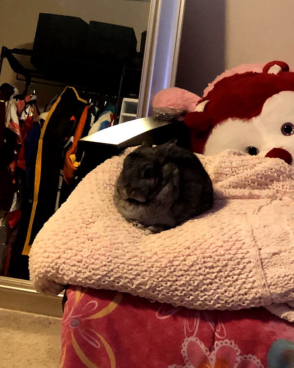 emiru.jpg instagram image archive image