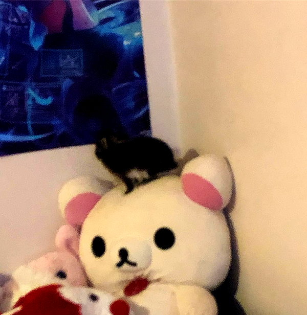 emiru.jpg instagram image archive image