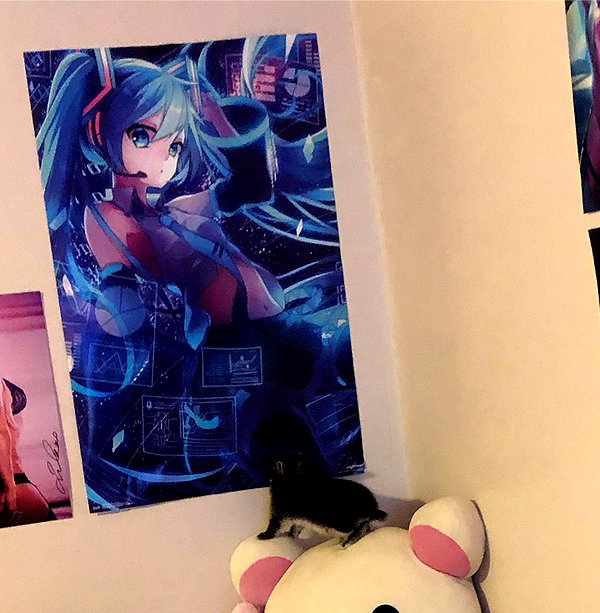 emiru.jpg instagram image archive image
