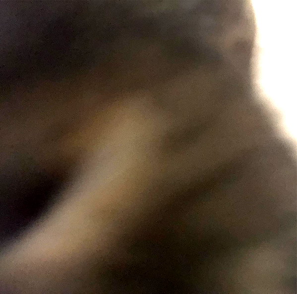 emiru.jpg instagram image archive image