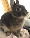 emiru.jpg Altpins Profile Picture
