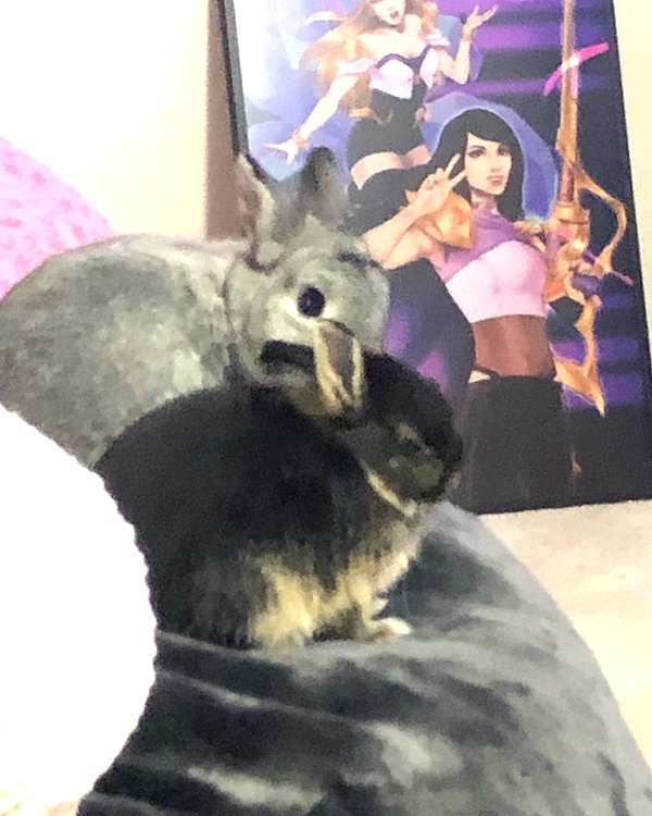 emiru.jpg instagram image archive image
