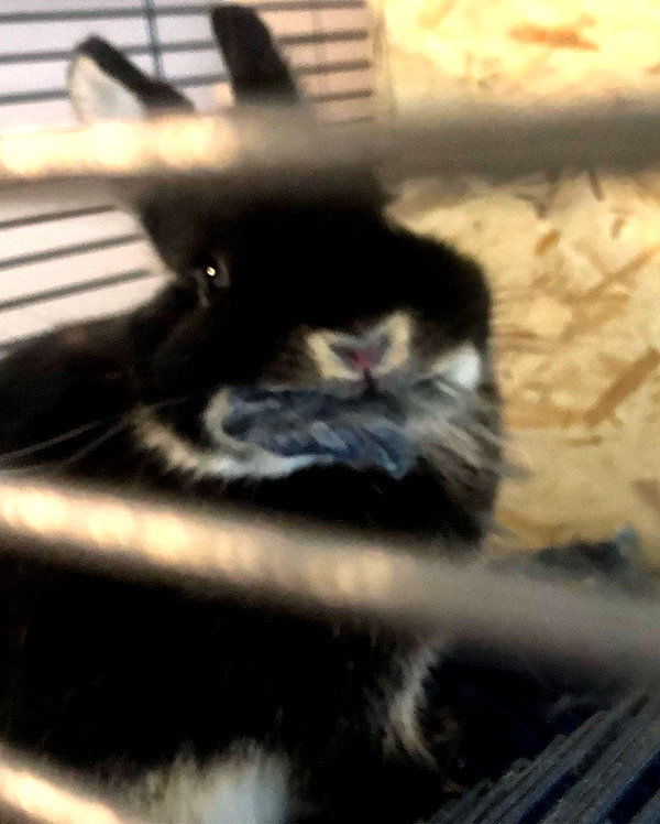 emiru.jpg instagram image archive image