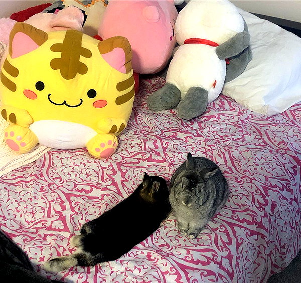 emiru.jpg instagram image archive image