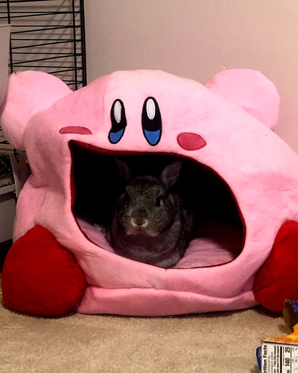 emiru.jpg instagram image archive image