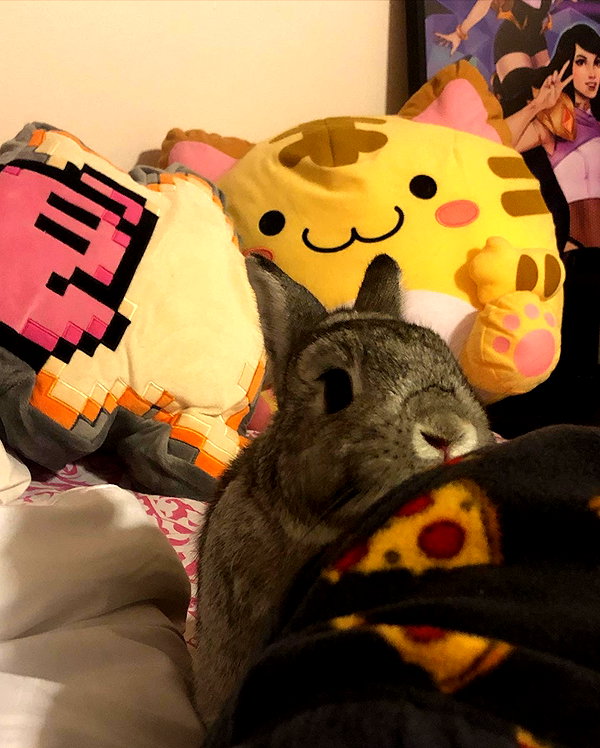 emiru.jpg instagram image archive image