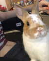 emiru.jpg Altpins Profile Picture