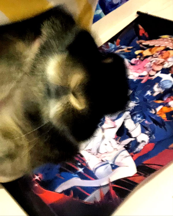 emiru.jpg instagram image archive image