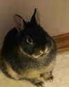 emiru.jpg Altpins Profile Picture