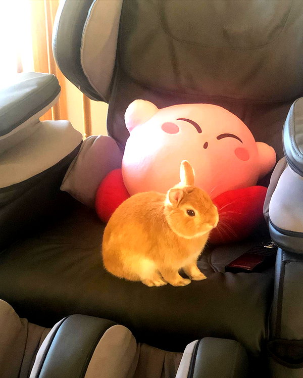 emiru.jpg instagram image archive image