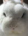 emiru.jpg Altpins Profile Picture
