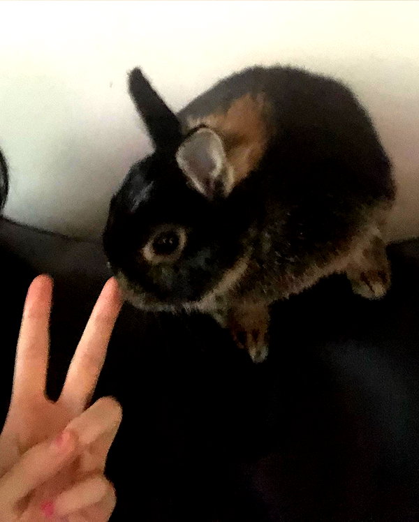 emiru.jpg instagram image archive image