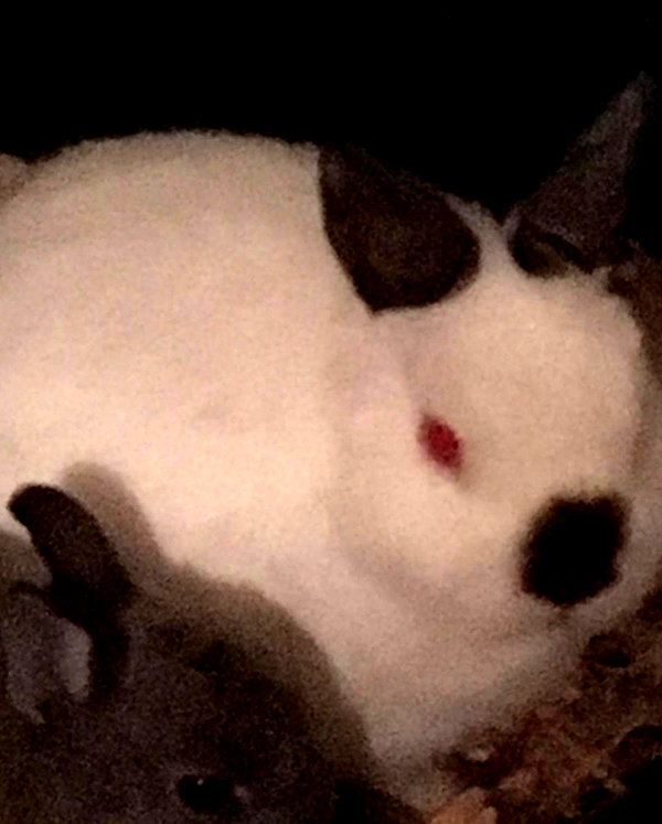emiru.jpg instagram image archive image