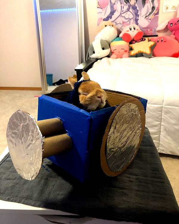 emiru.jpg instagram image archive image