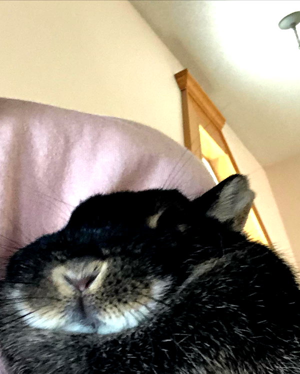 emiru.jpg instagram image archive image