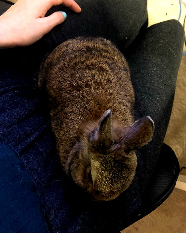 emiru.jpg instagram image archive image