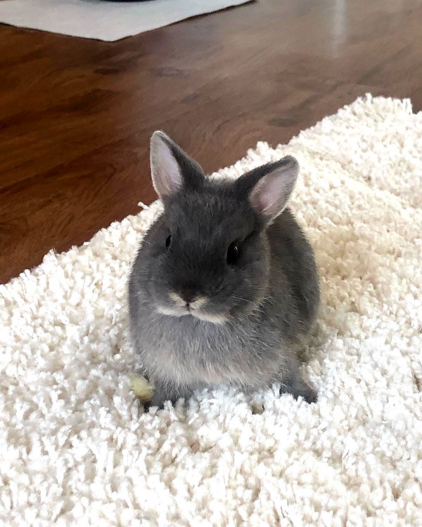emiru.jpg instagram image archive image