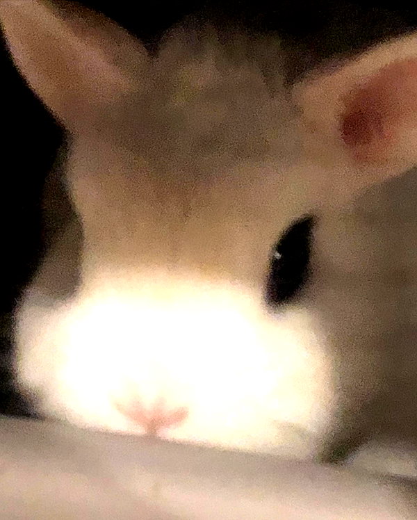 emiru.jpg instagram image archive image