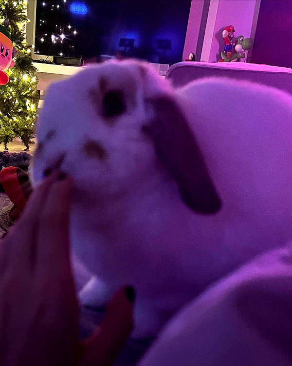 emiru.jpg instagram image archive image