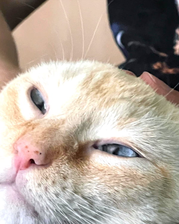 emiru.jpg instagram image archive image