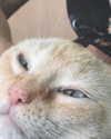 emiru.jpg Altpins Profile Picture