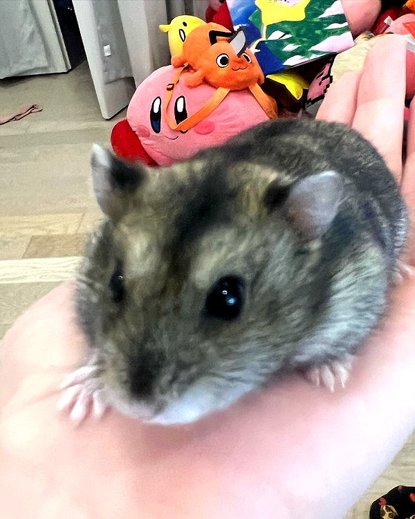 emiru.jpg instagram image archive image