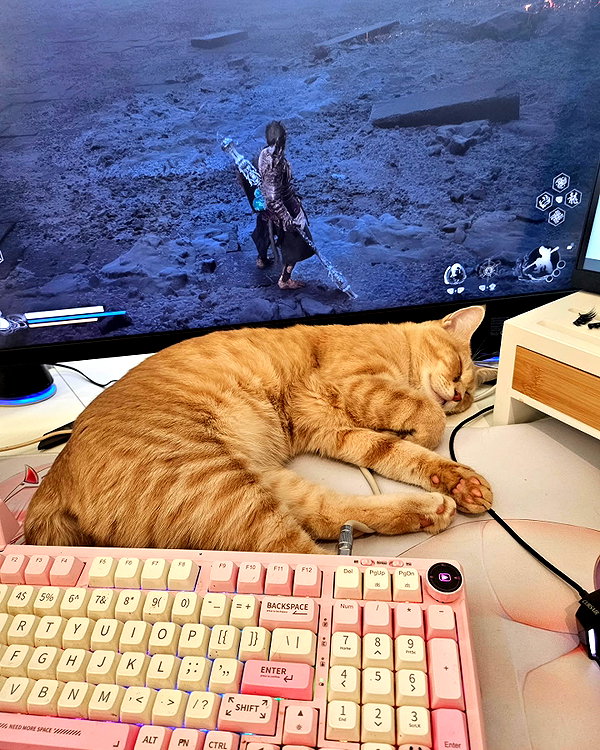 emiru.jpg instagram image archive image